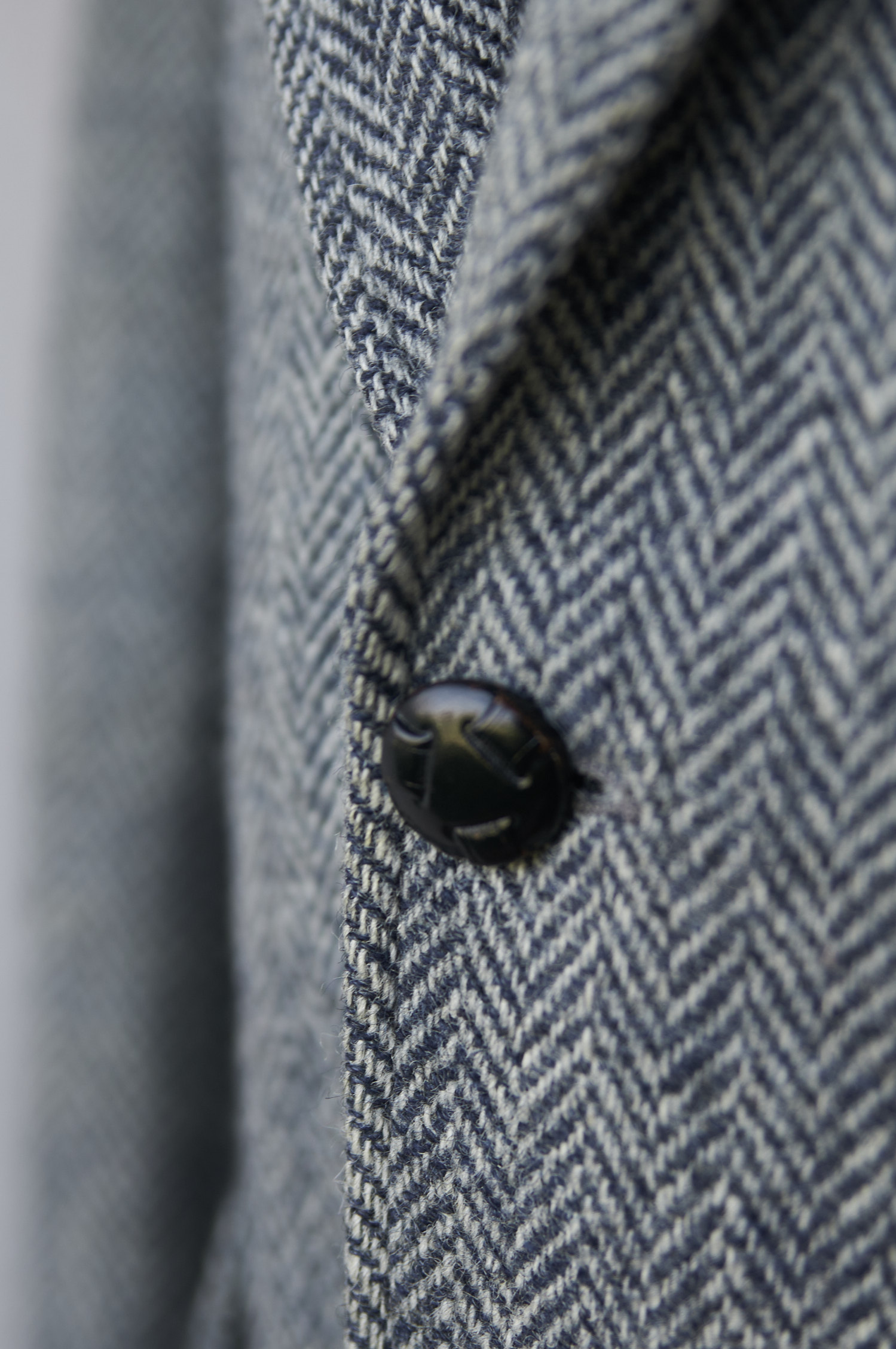 Blazer Harris Tweed talla M hombre - Imagen 6